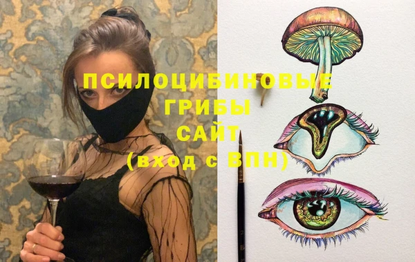 гашик Кулебаки