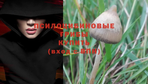 гашик Кулебаки