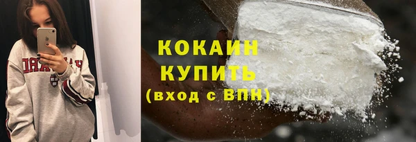 гашик Кулебаки