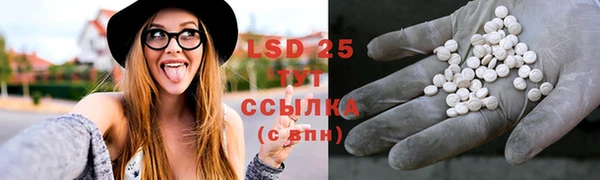 спайс Кукмор