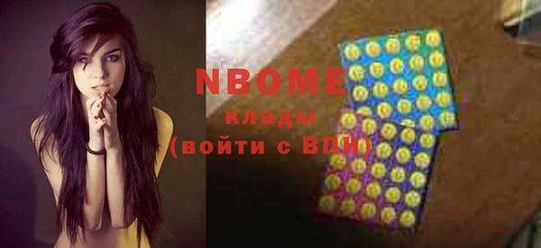 гашик Кулебаки