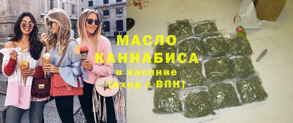 дмт Краснослободск