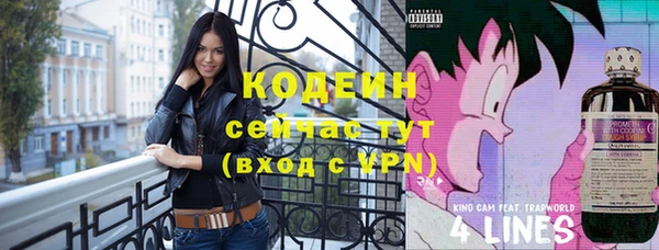 гашик Кулебаки