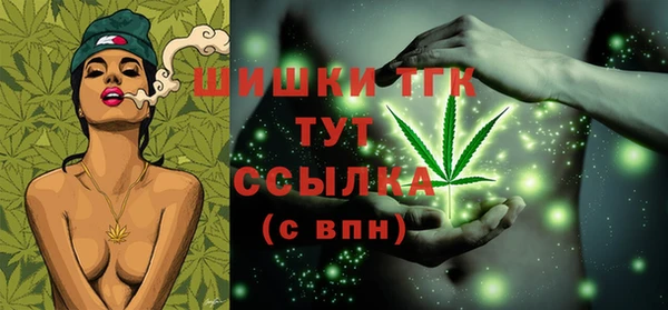 гашик Кулебаки