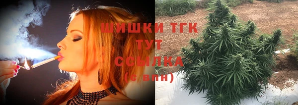 гашик Кулебаки