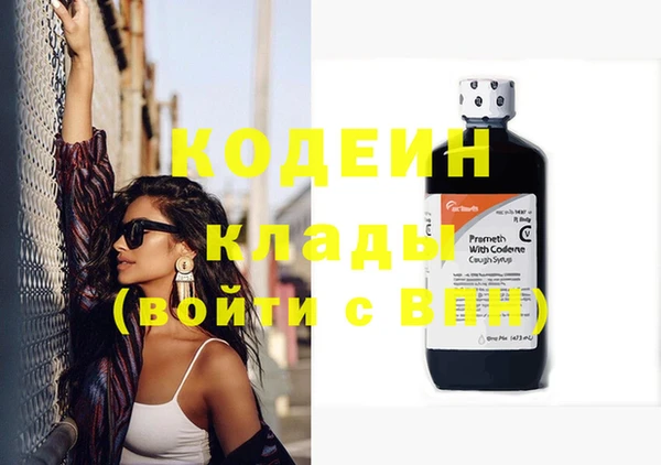 гашик Кулебаки
